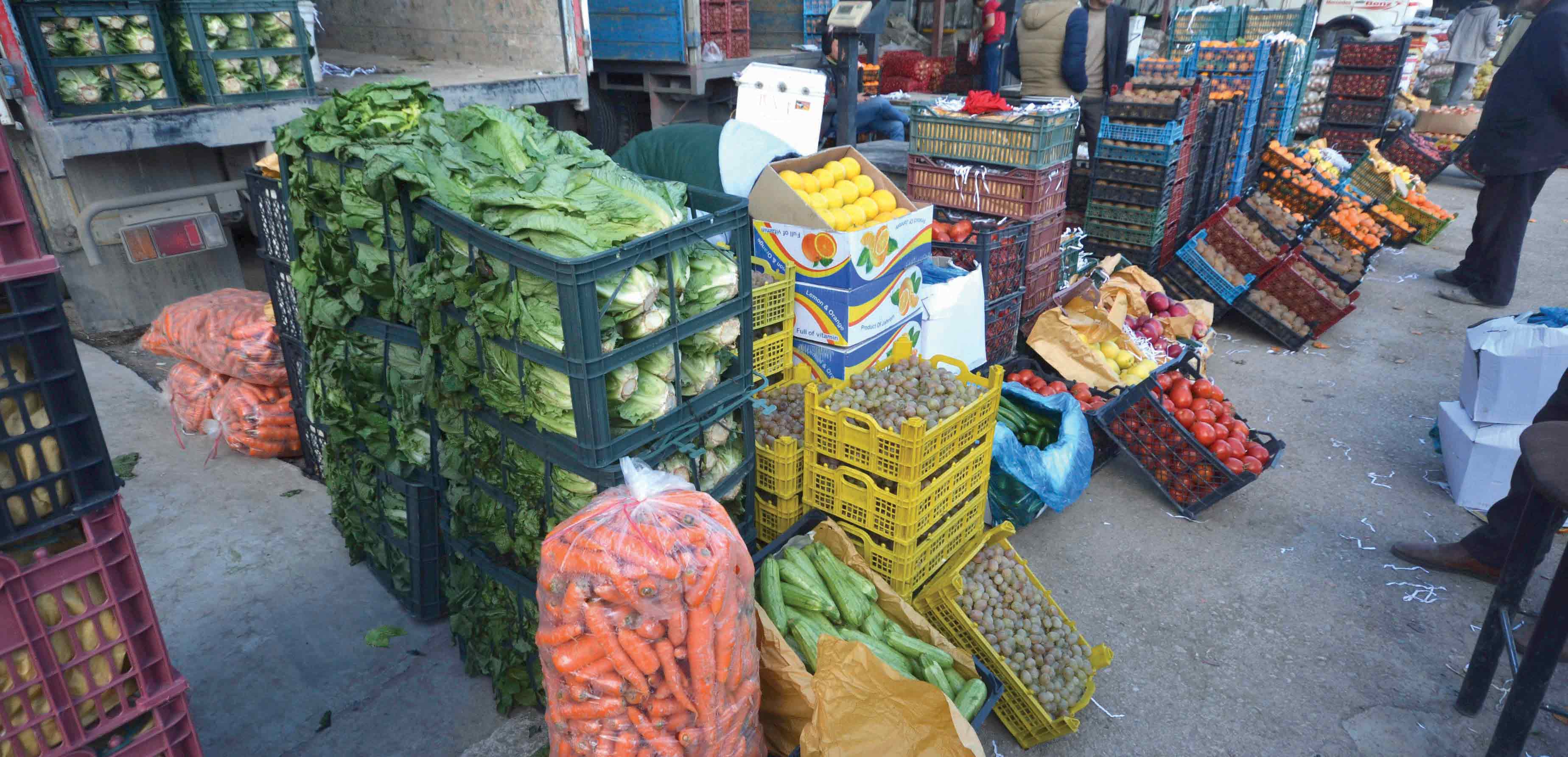 عکس : بهمنیار